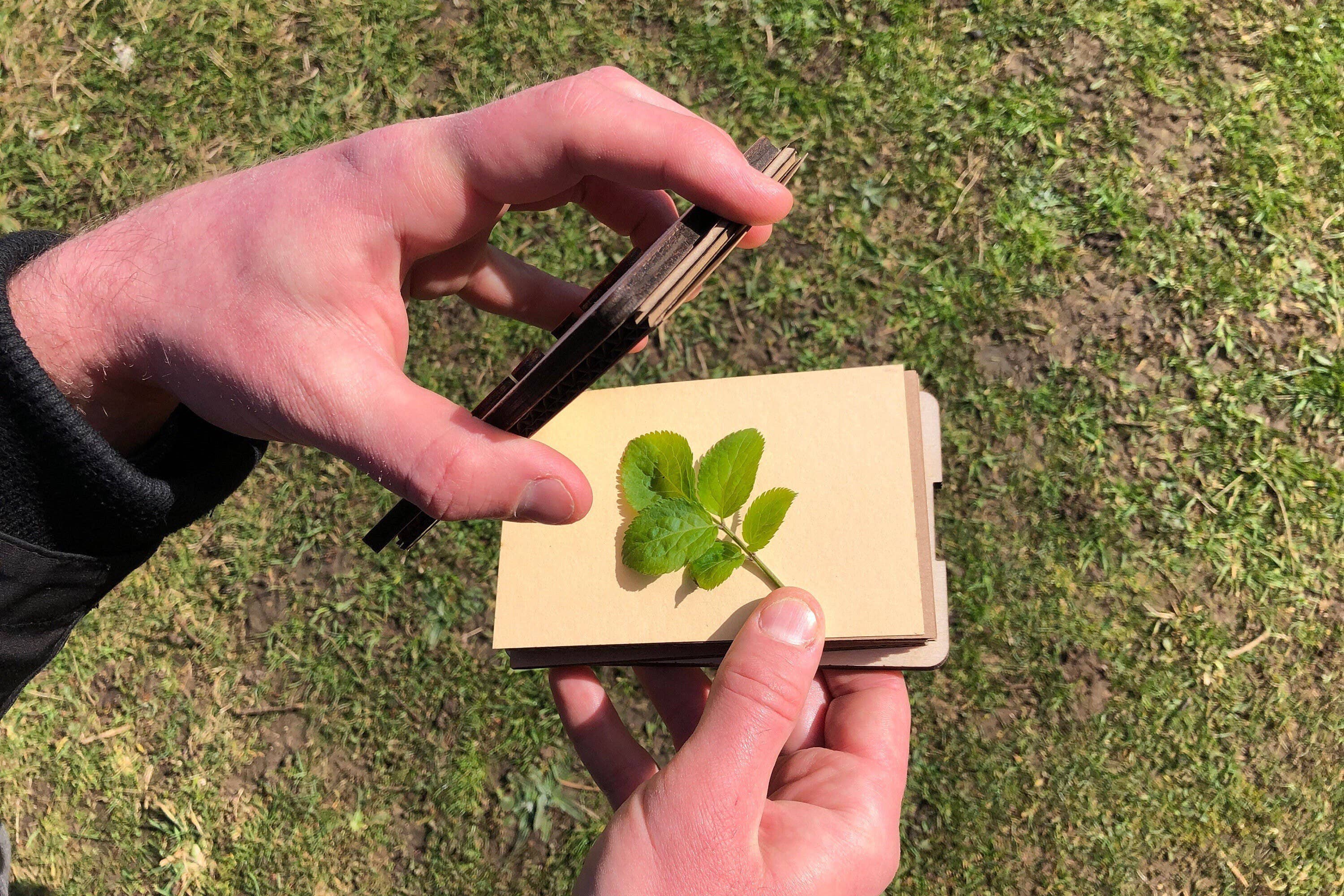Portable flower press, pocket-size flower press