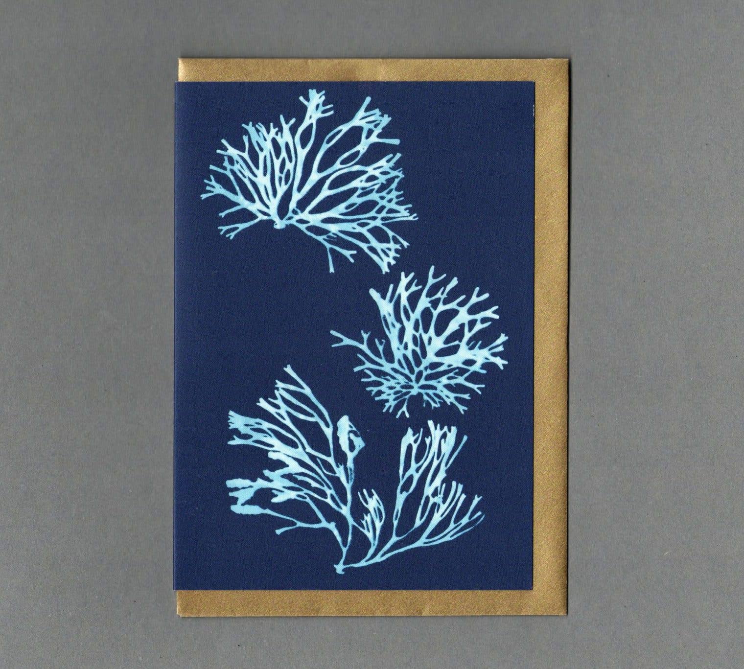 Cyan Seaweed 3. Greeting Card, Eco Friendly: Without cello