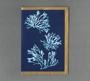 Cyan Seaweed 3. Greeting Card, Eco Friendly: Without cello