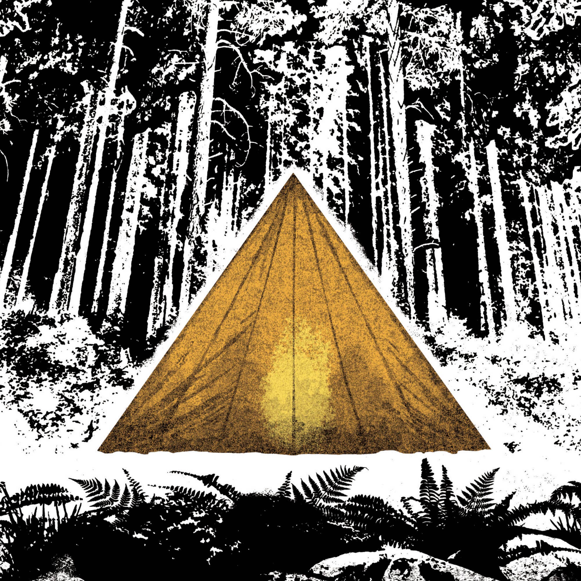 Starry Night, Digital Print (A4, A3) Stars, Camping, Forest: A3
