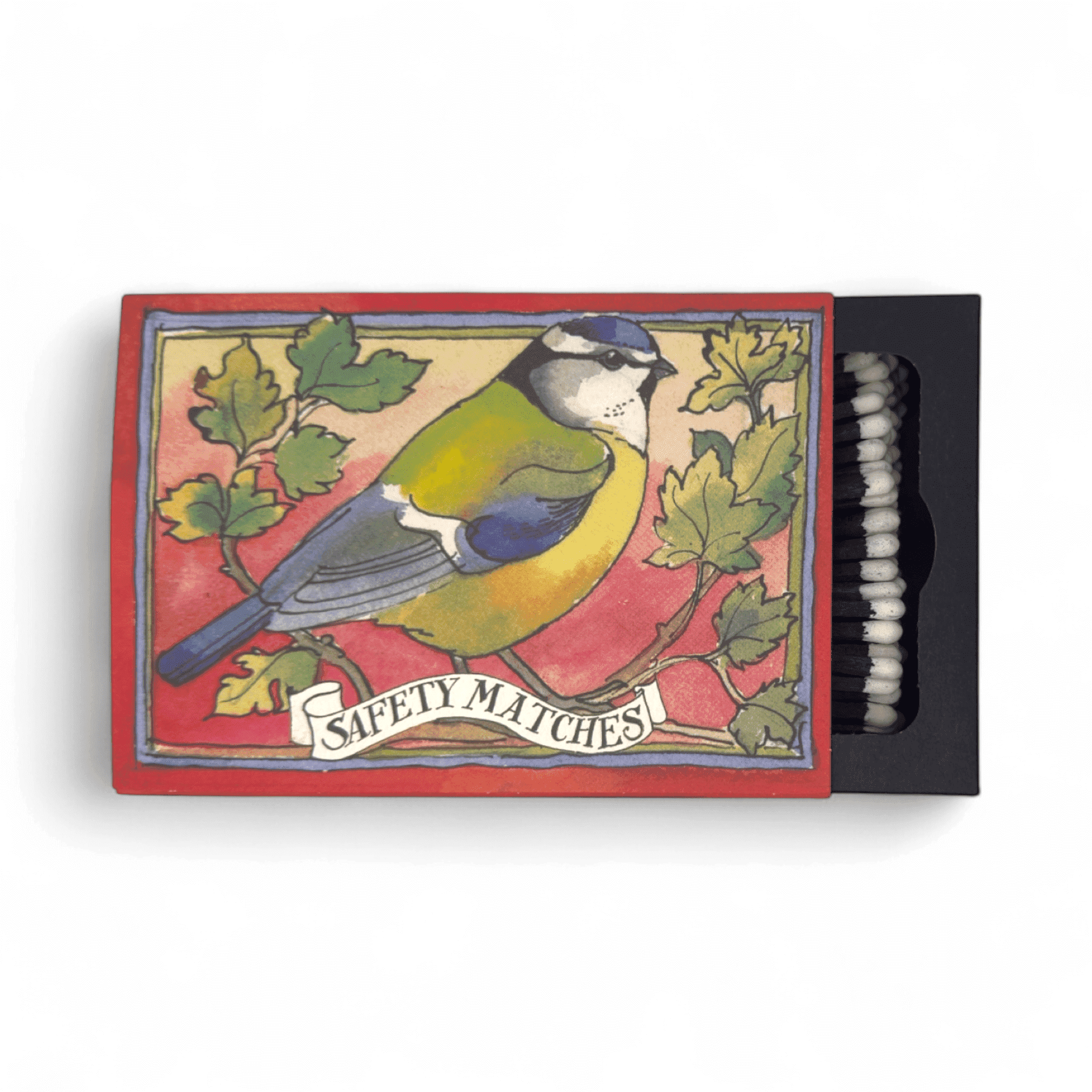 Blue Tits By Mattew Rice