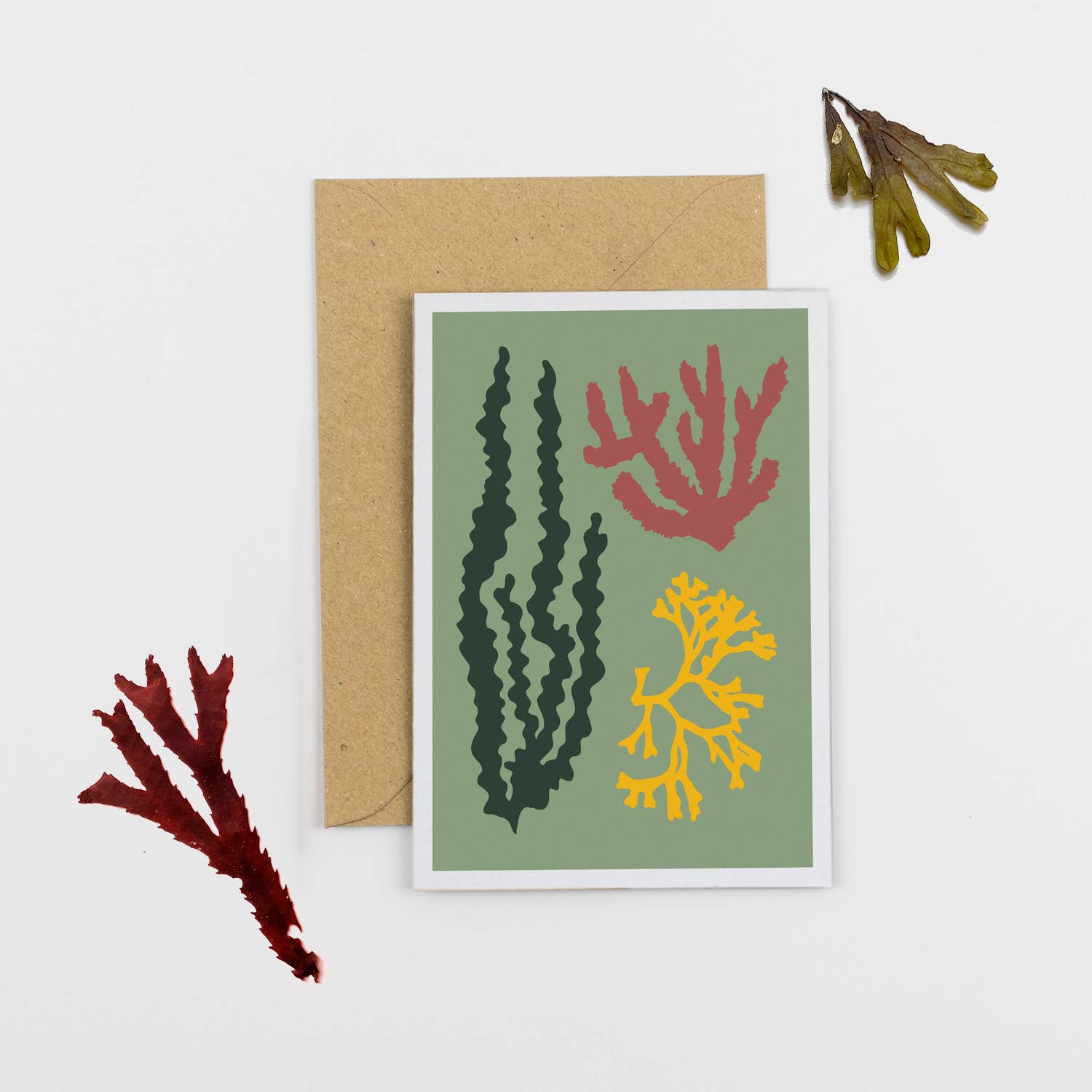 All Occasions A6 Card- Seaweed- Green