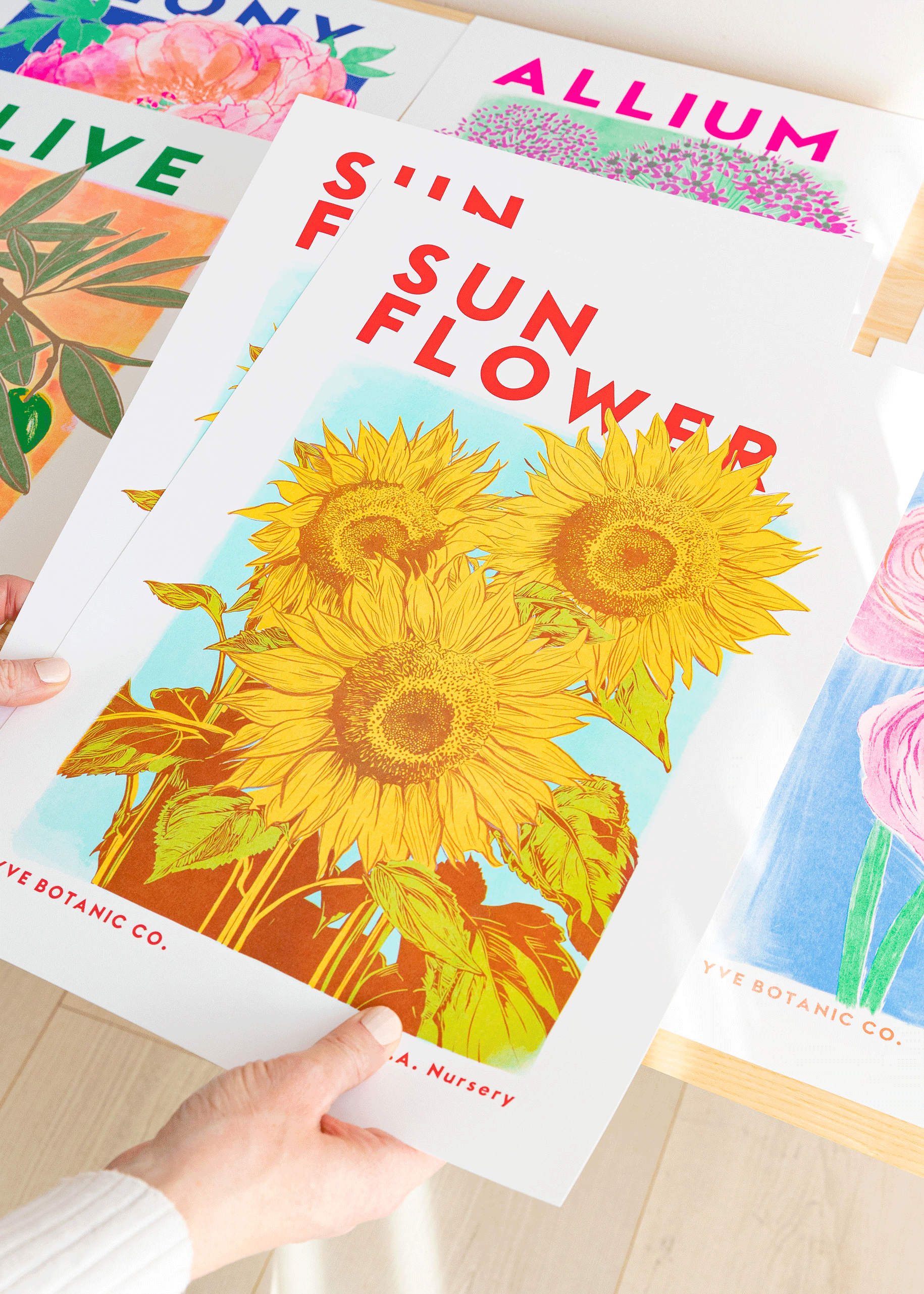 Sunflower Botanical Risograph Print: A3 29.7 x 42 cm