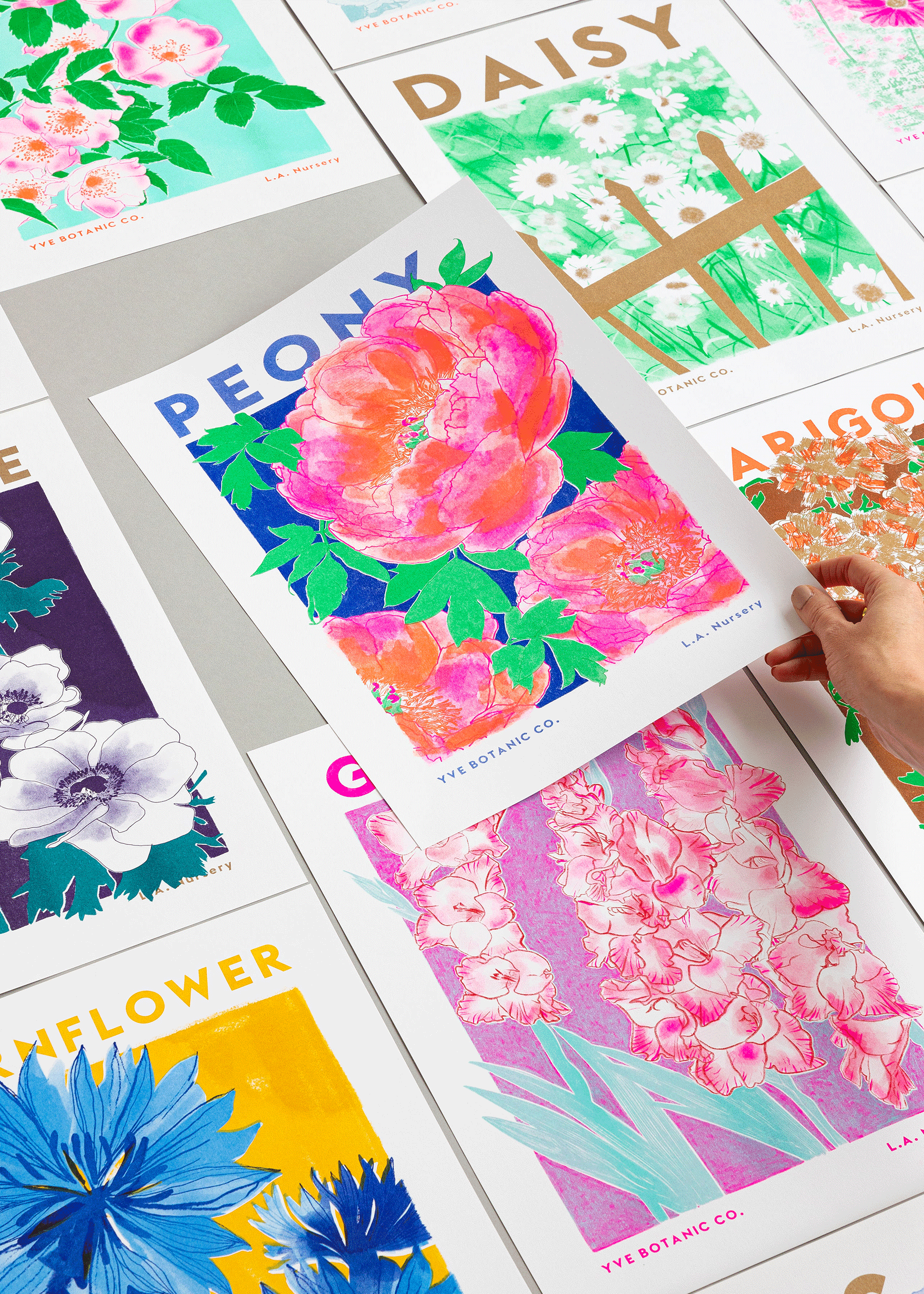 Peony Flower Risograph Print: A4 21 x 29.7 cm