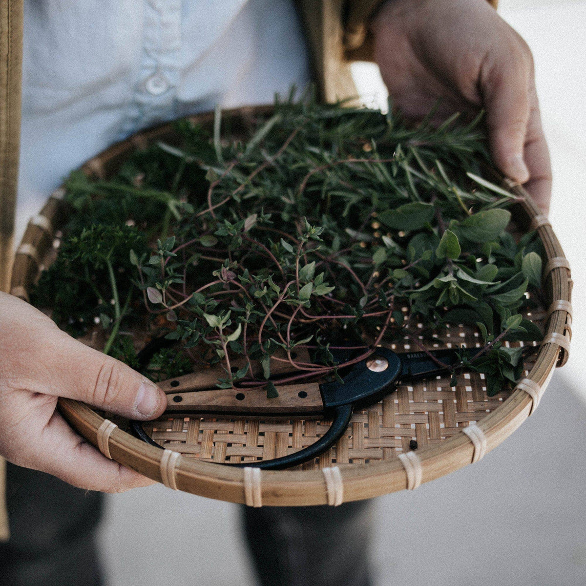 Large garden scissors: Large