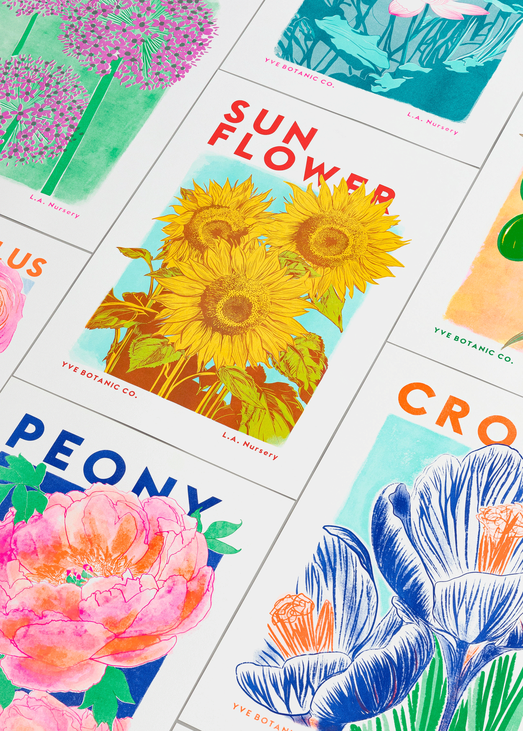 Sunflower Botanical Risograph Print: A4 21 x 29.7 cm