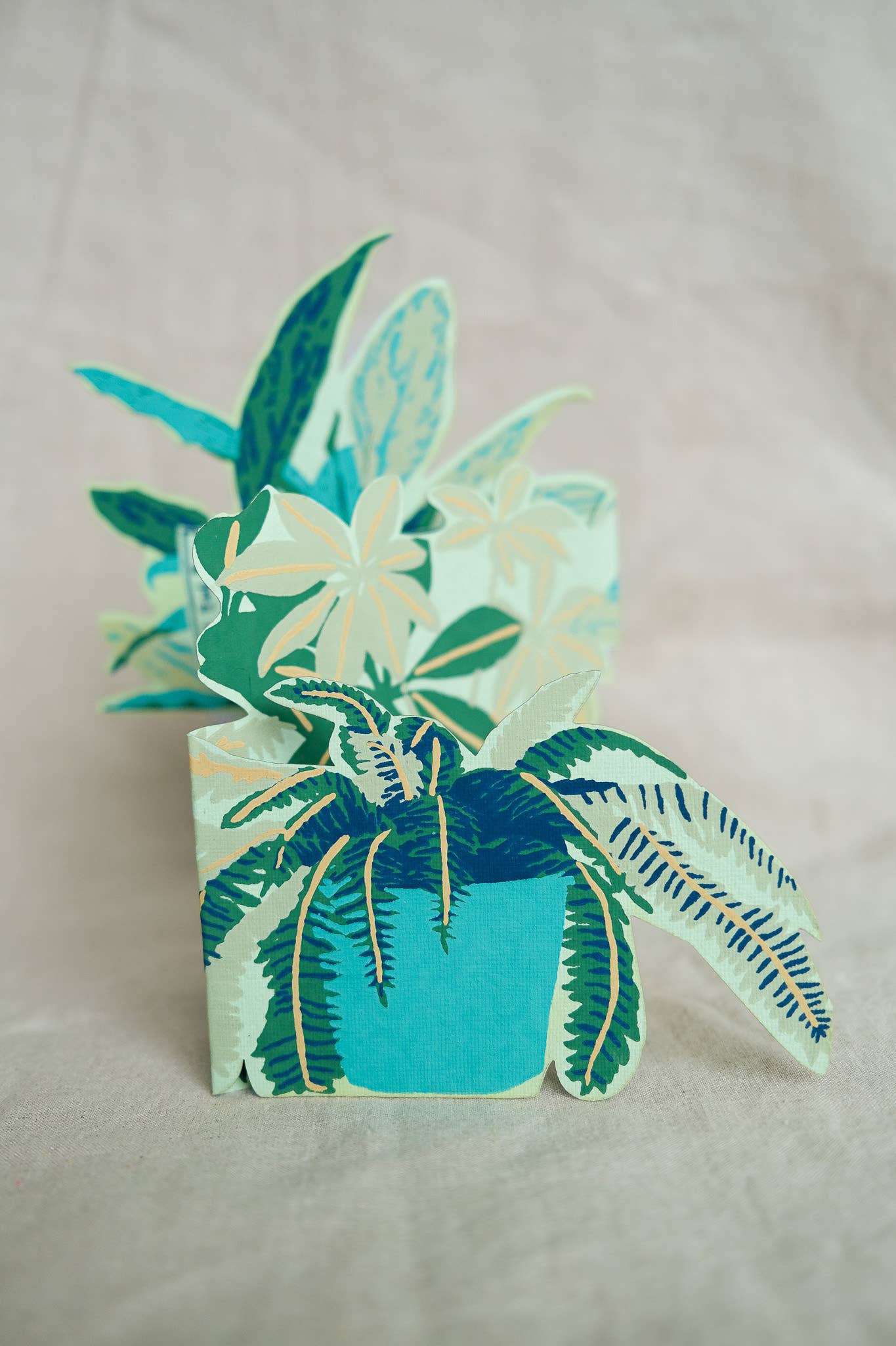 Plant Pot Concertina Greeting Card: C6