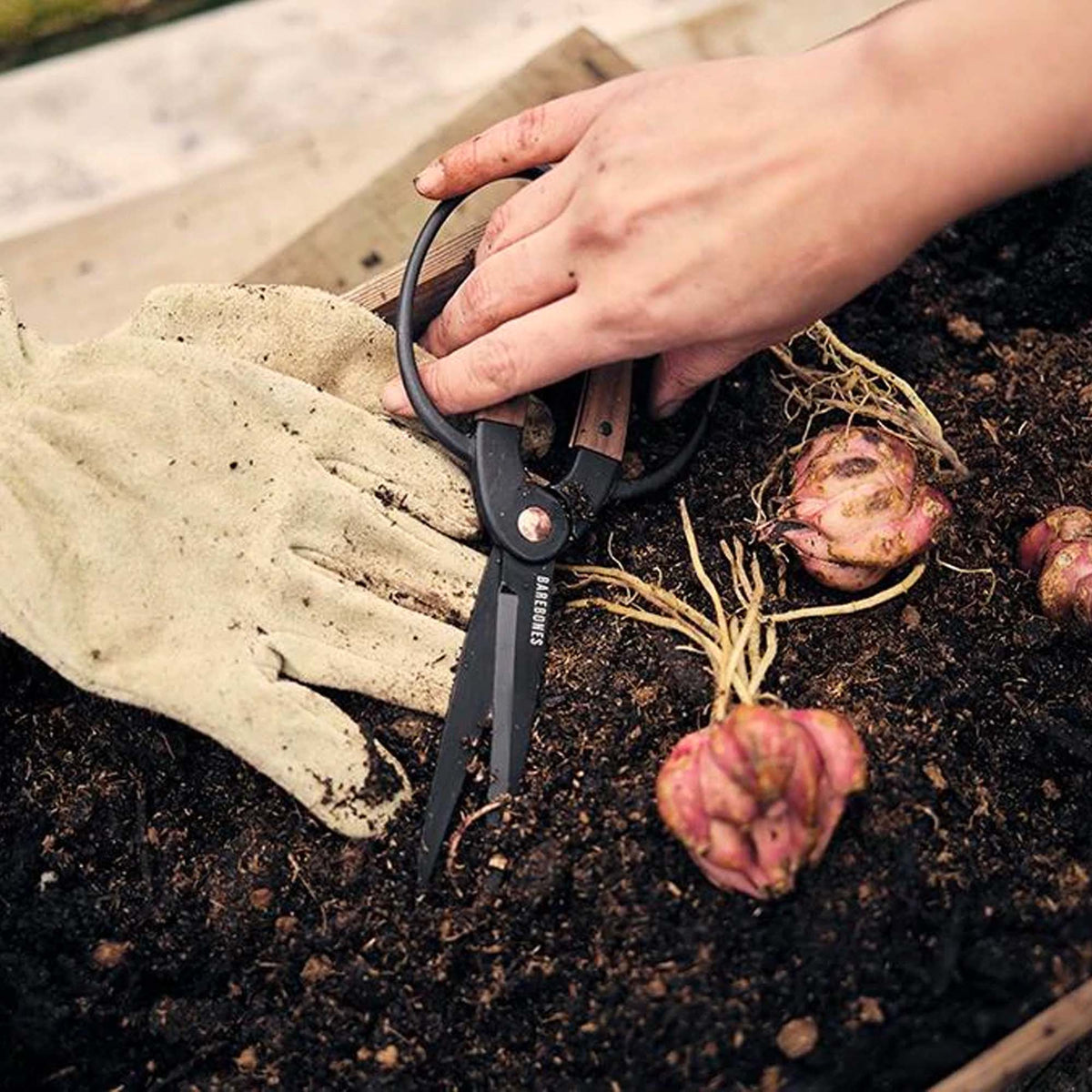 Large garden scissors: Large