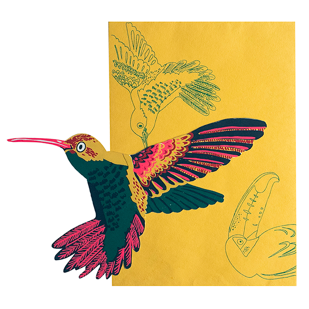 Hummingbird Greeting Card: C6