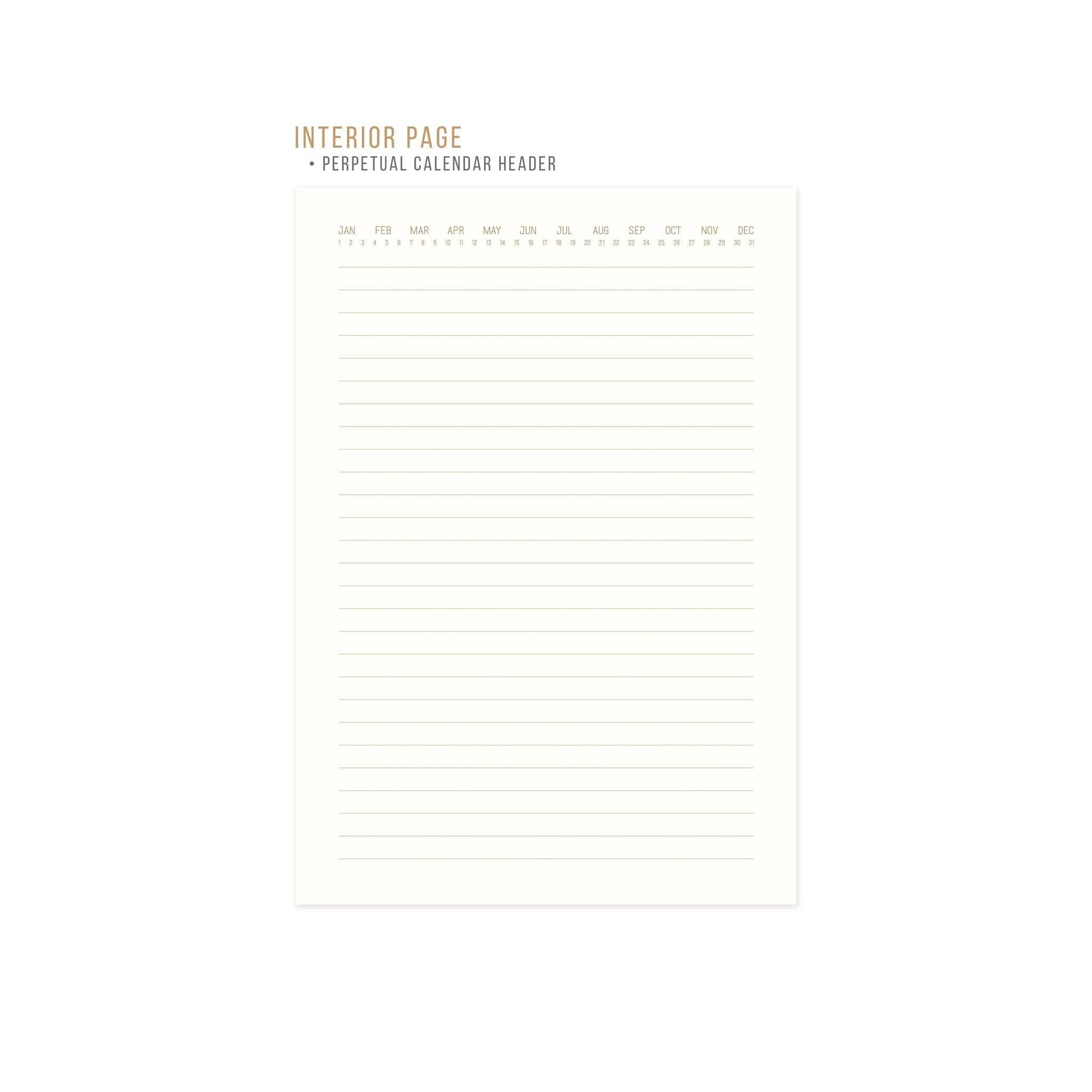 Designworks Ink Suedette Journal - Pink - Radiant Rainbow