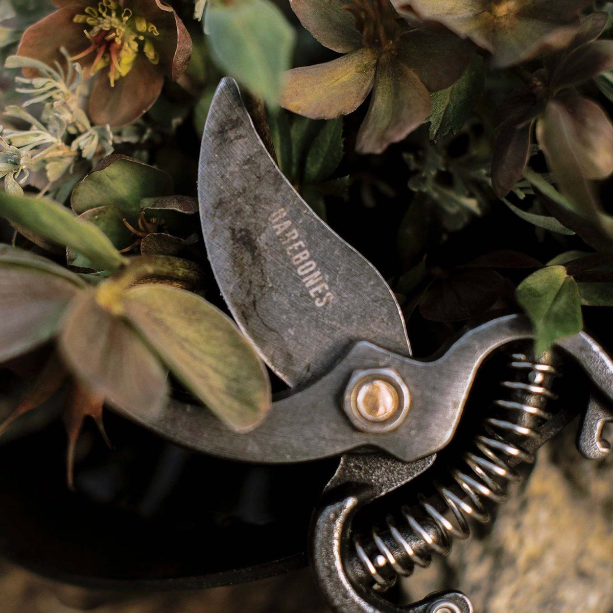 Pruner: Pruner & Sheath