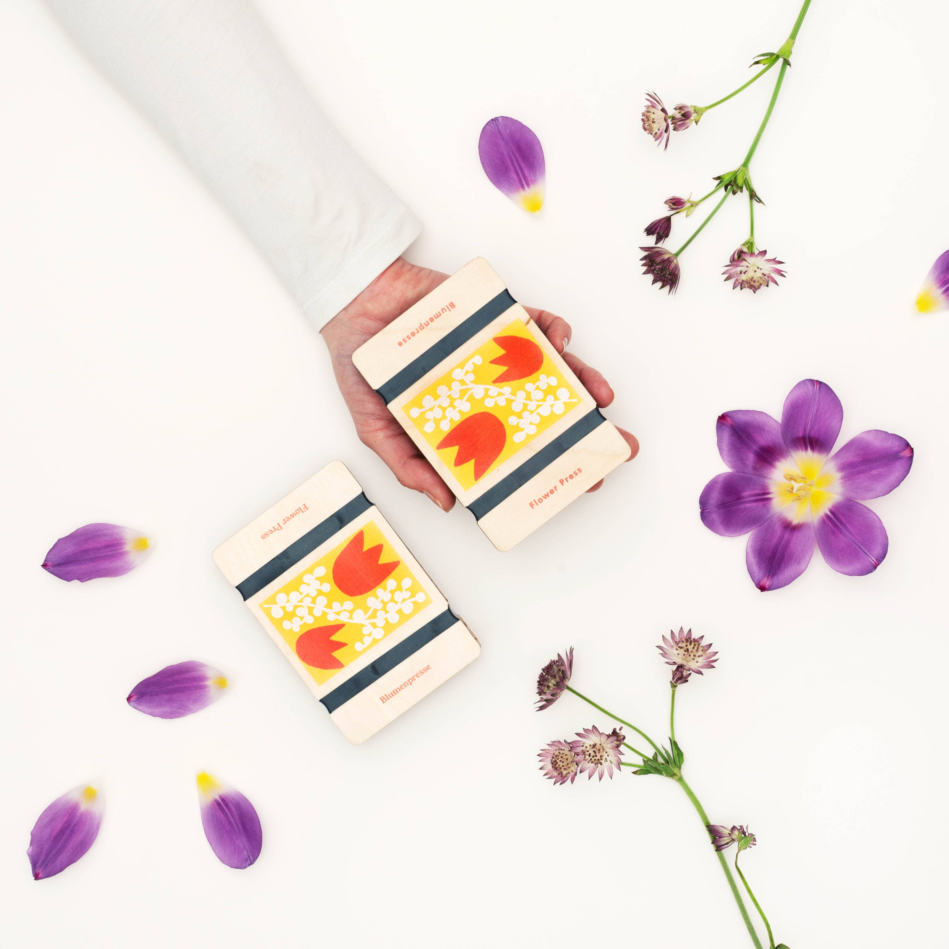 Pocket Flower Press - Tulip