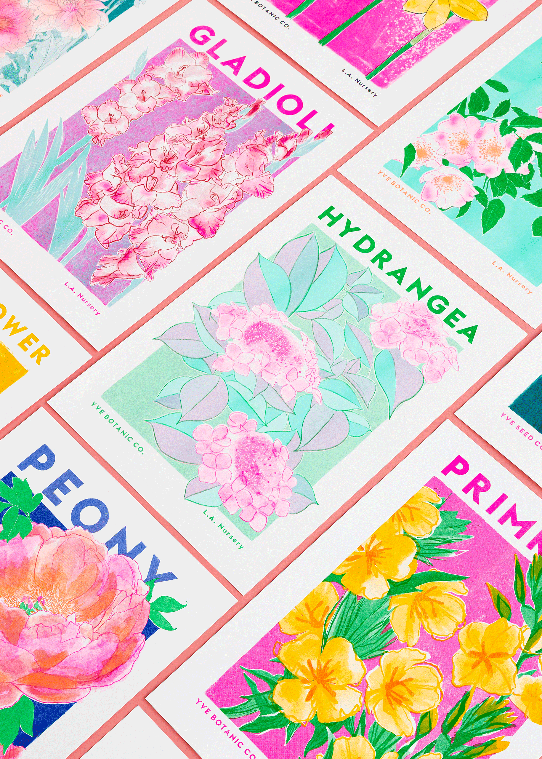 Hydrangea Flower Risograph Print: A3 29.7 x 42 cm