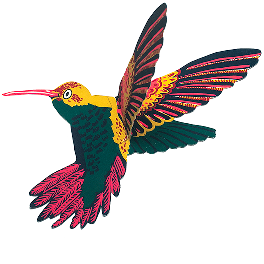 Hummingbird Greeting Card: C6
