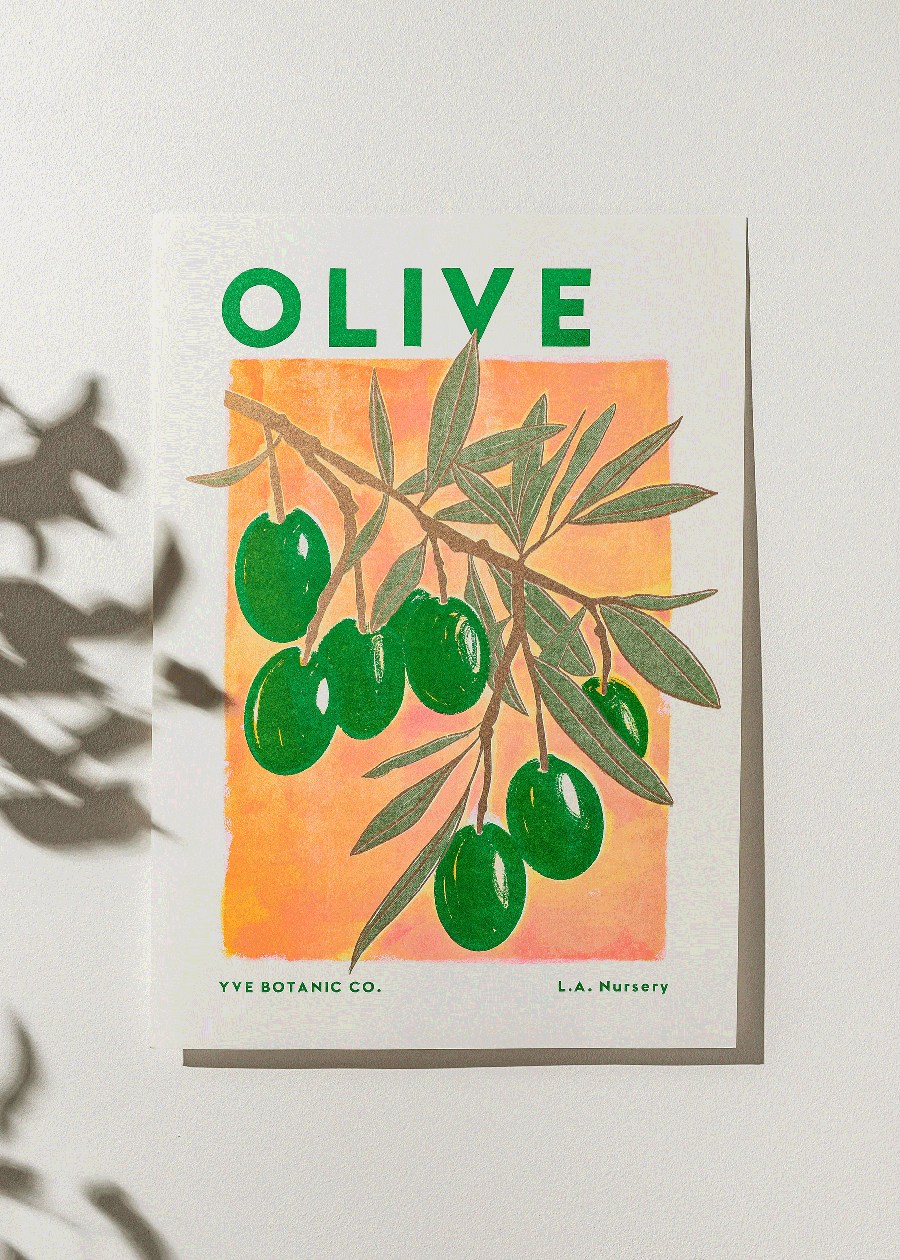 Olive Botanical Risograph Print: A3 29.7 x 42 cm