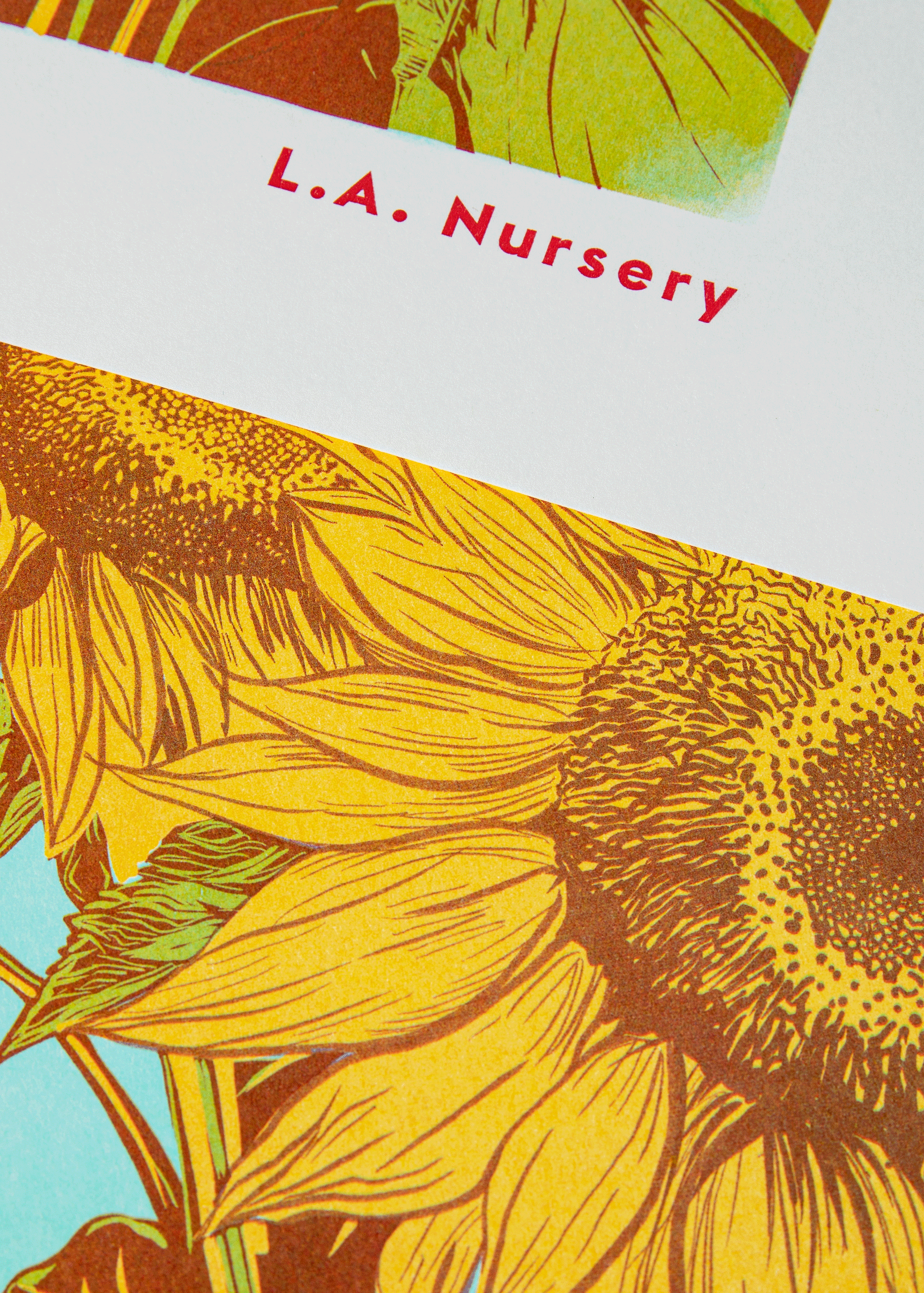Sunflower Botanical Risograph Print: A3 29.7 x 42 cm