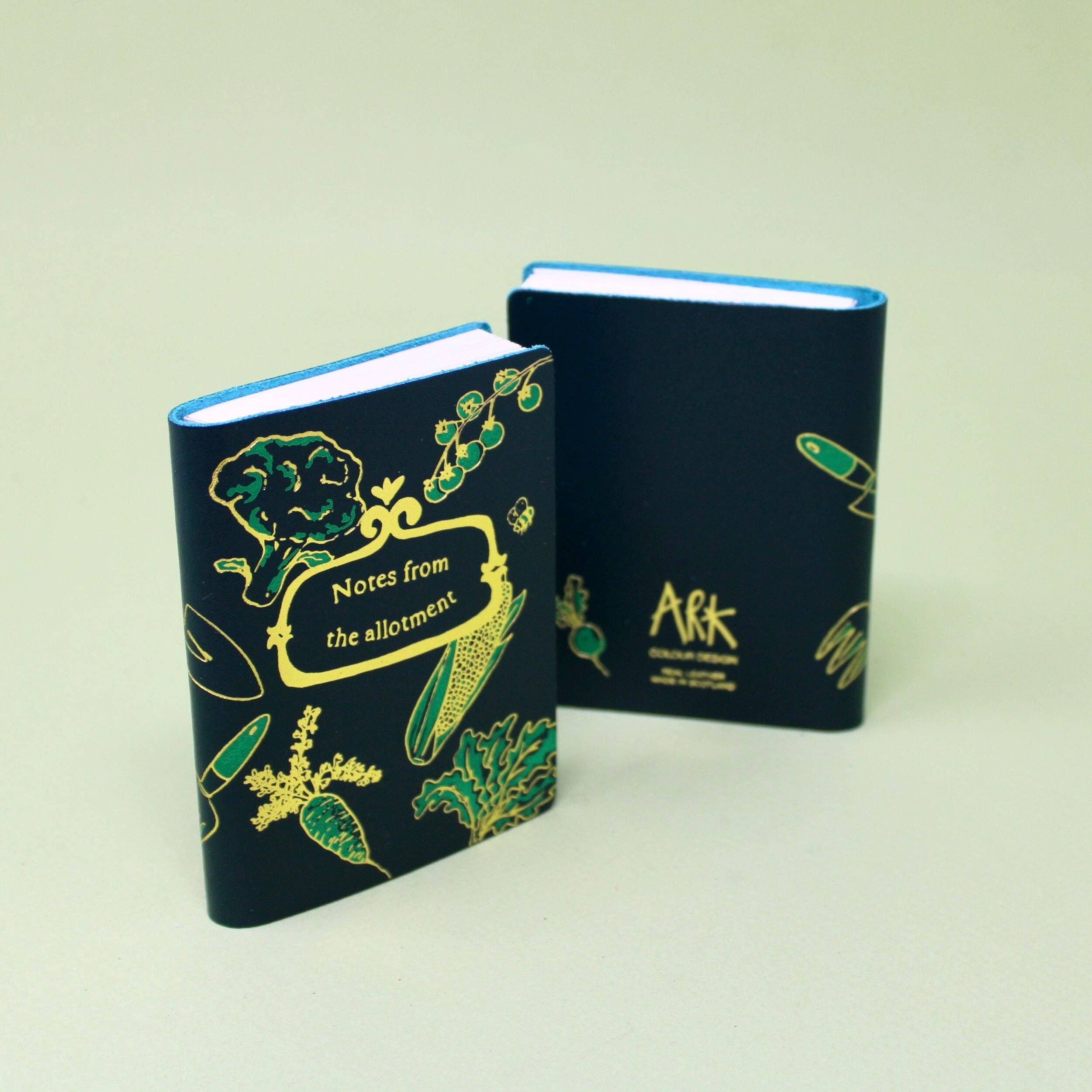 Illustrated Midi Journals: Passwords I've already forgotten