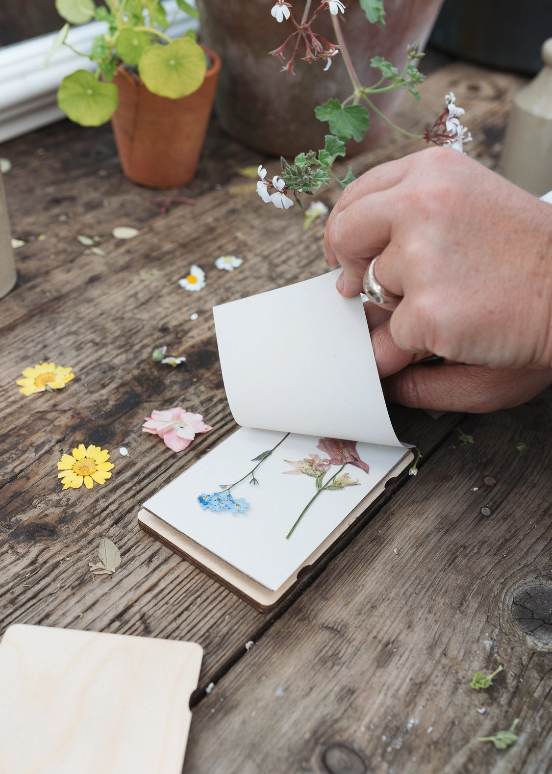 Pocket Flower Press - Christmas