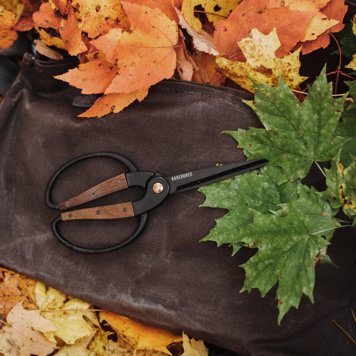 Large garden scissors: Large