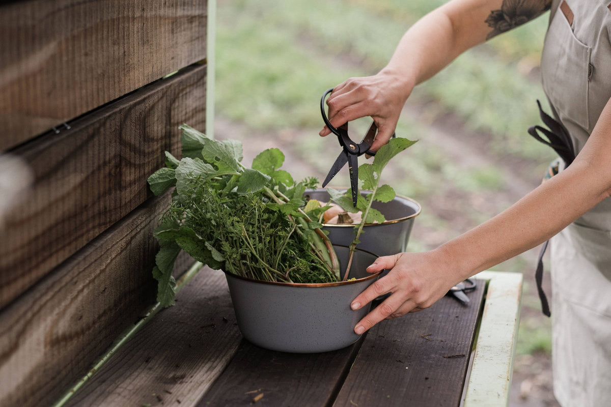 Large garden scissors: Large
