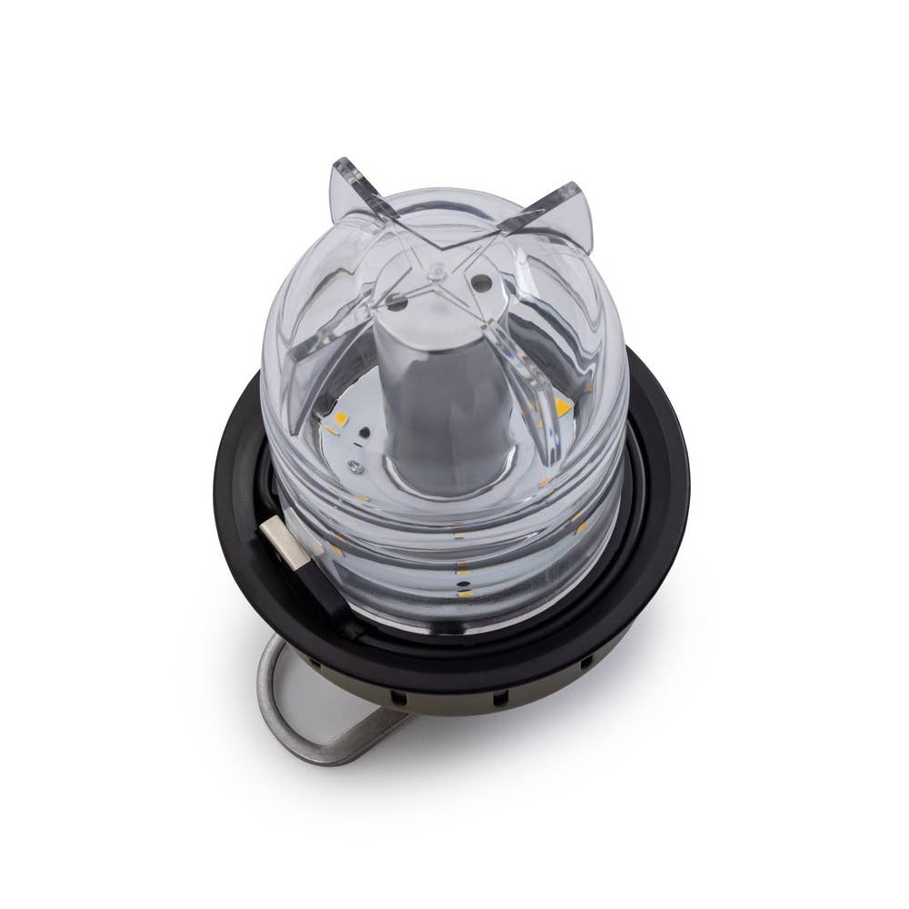 Beacon Hanging Lantern Olive