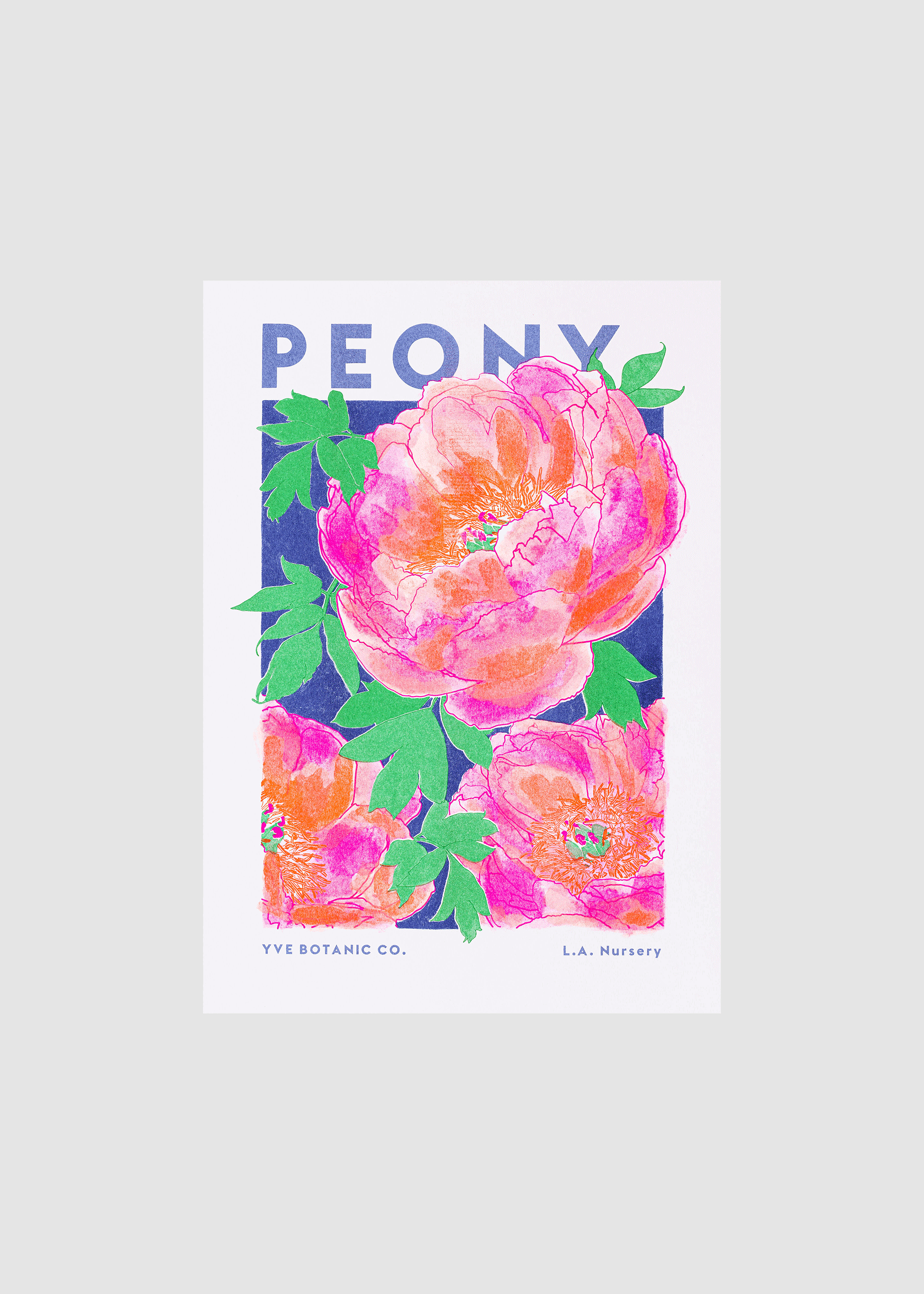 Peony Flower Risograph Print: A4 21 x 29.7 cm