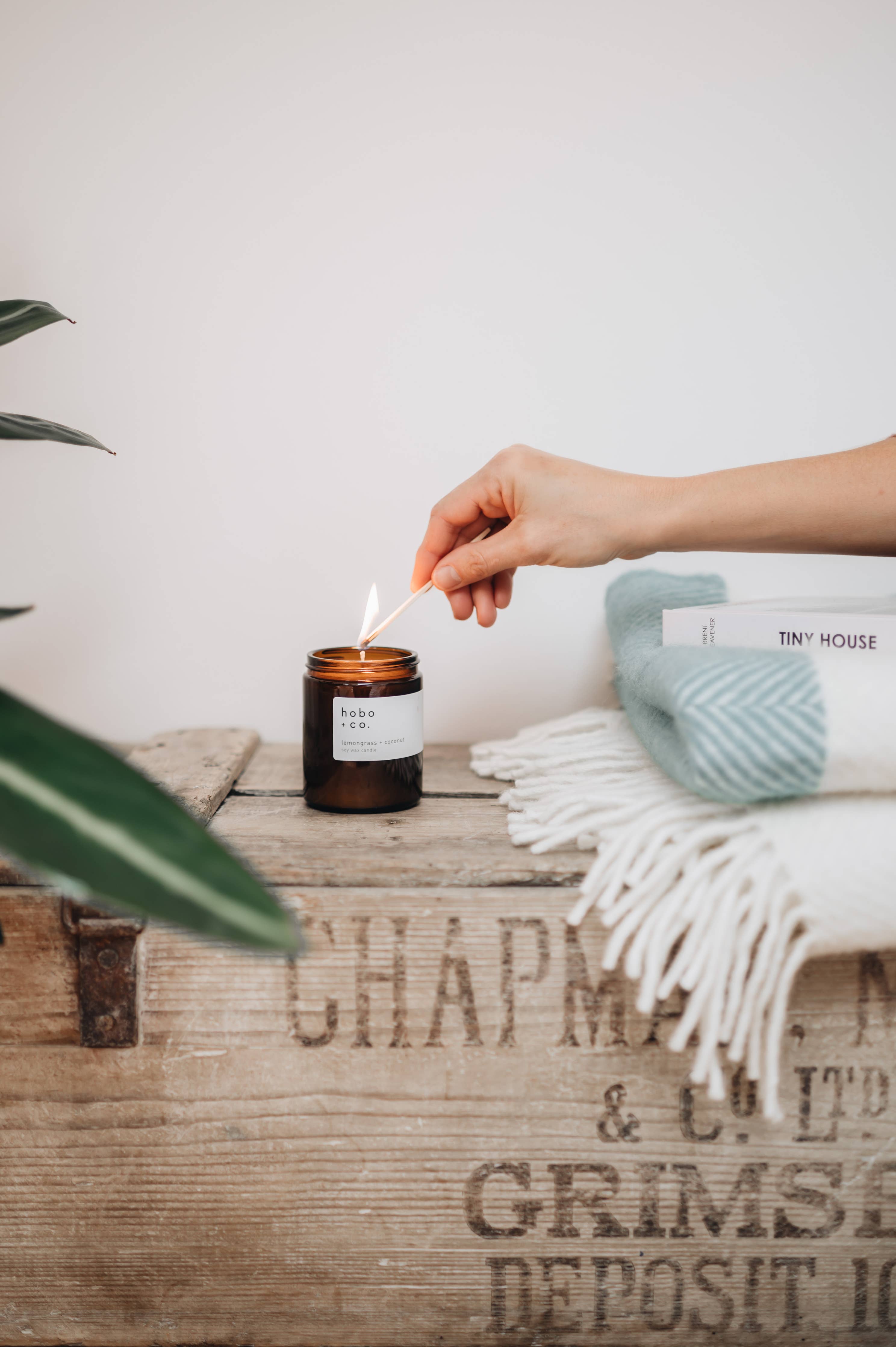Lemongrass + Coconut Medium Soy Candle