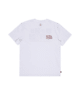 SEGMENT SS - WHITE