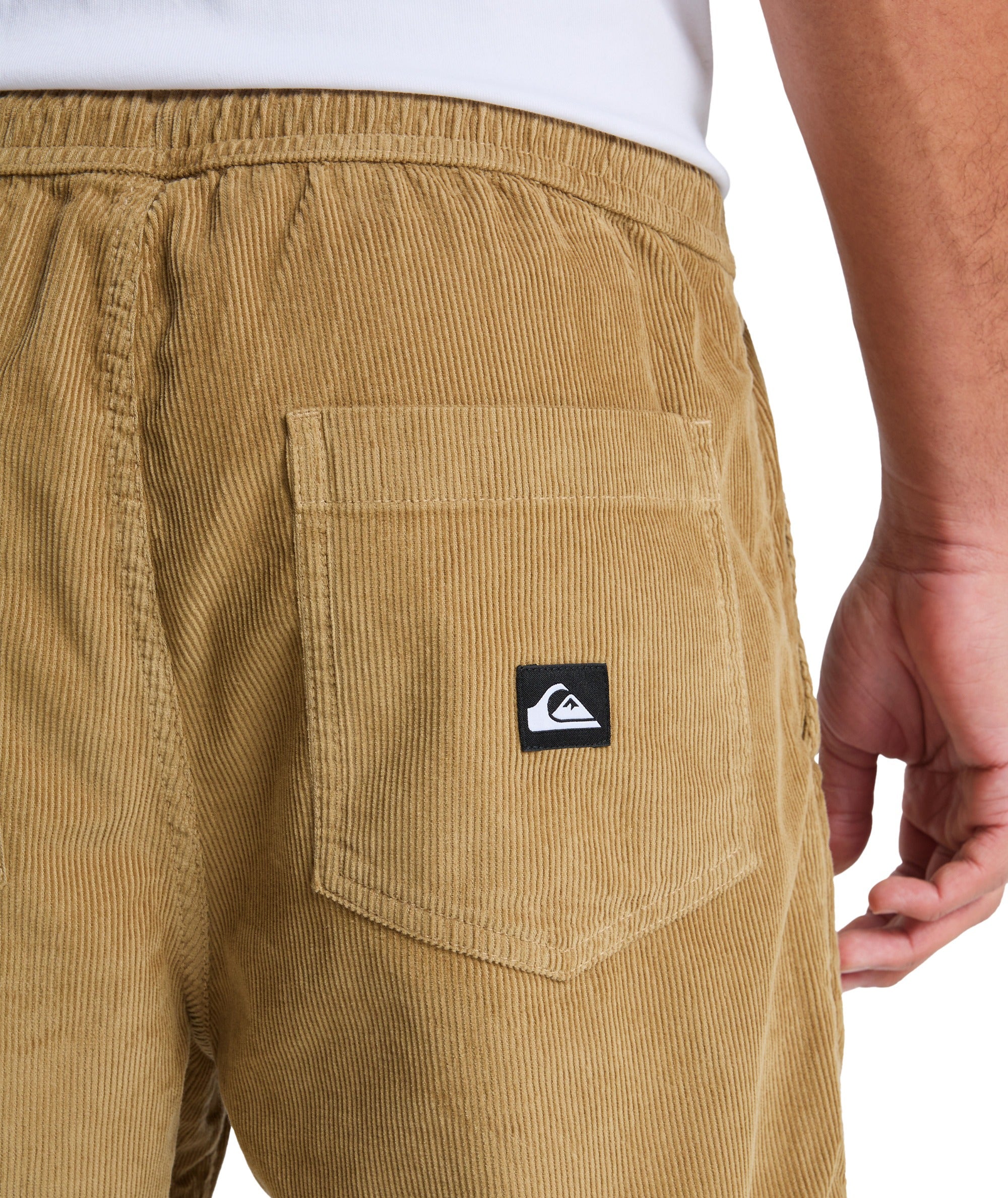 TAXER REGULAR CORD PANT - ELMWOOD