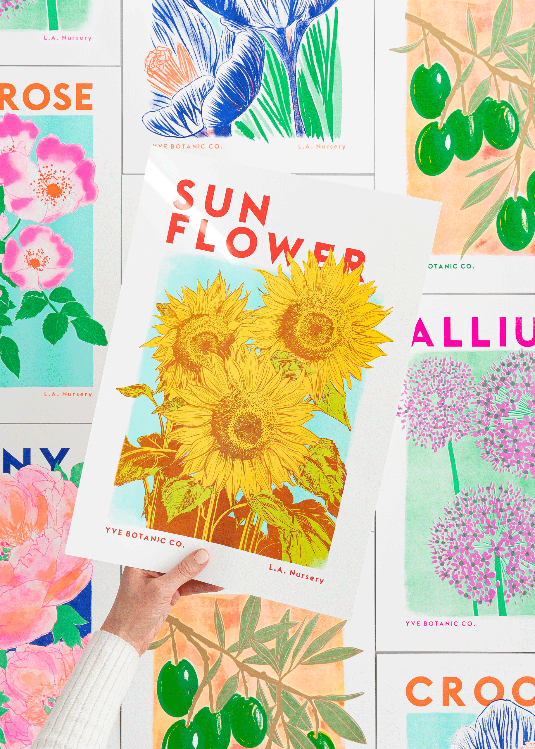 Sunflower Botanical Risograph Print: A3 29.7 x 42 cm