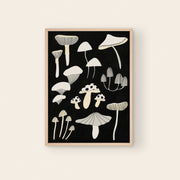 Black And White Mushroom Art Print | Monochrome | Fungi: A3