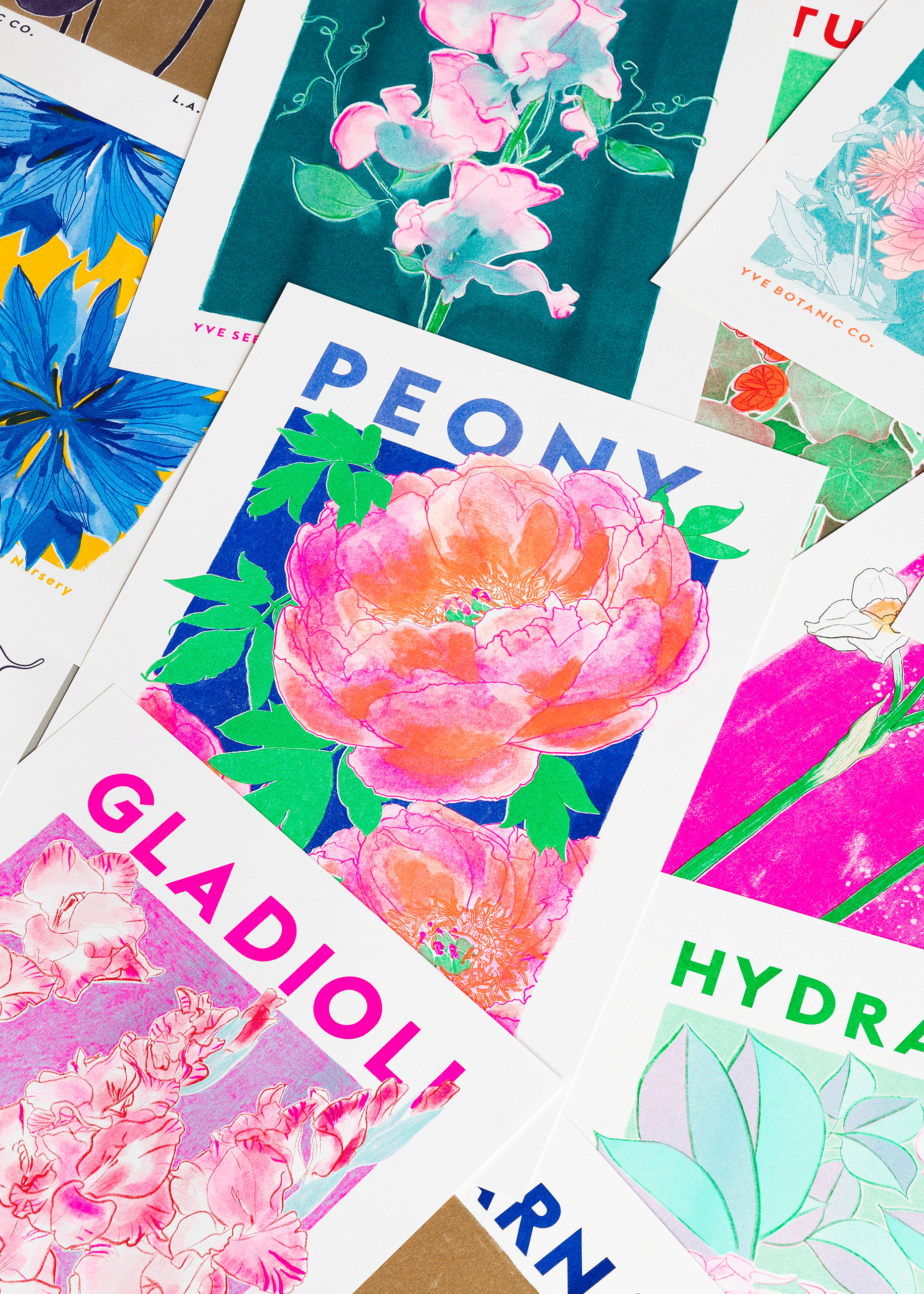 Peony Flower Risograph Print: A4 21 x 29.7 cm