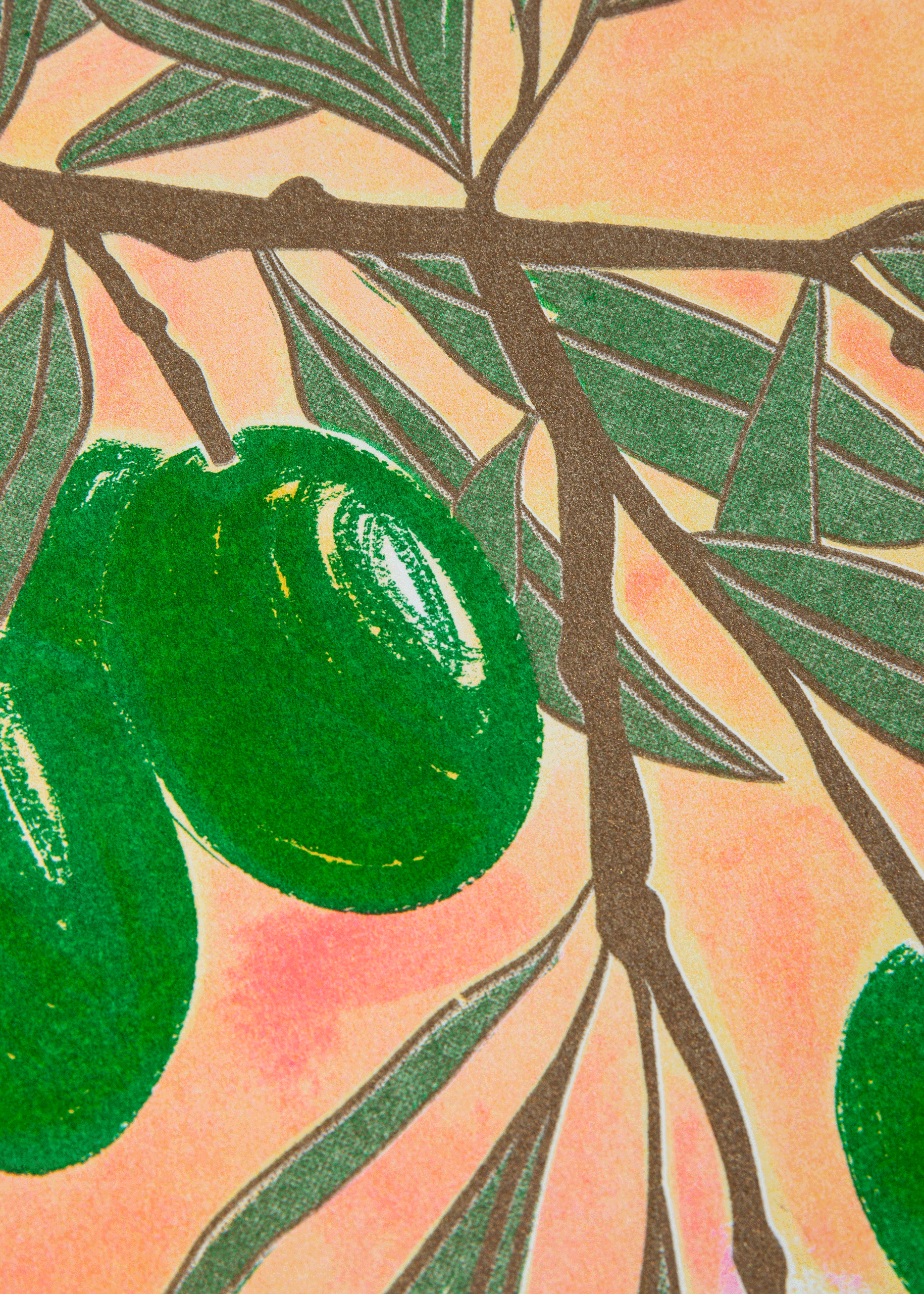 Olive Botanical Risograph Print: A3 29.7 x 42 cm