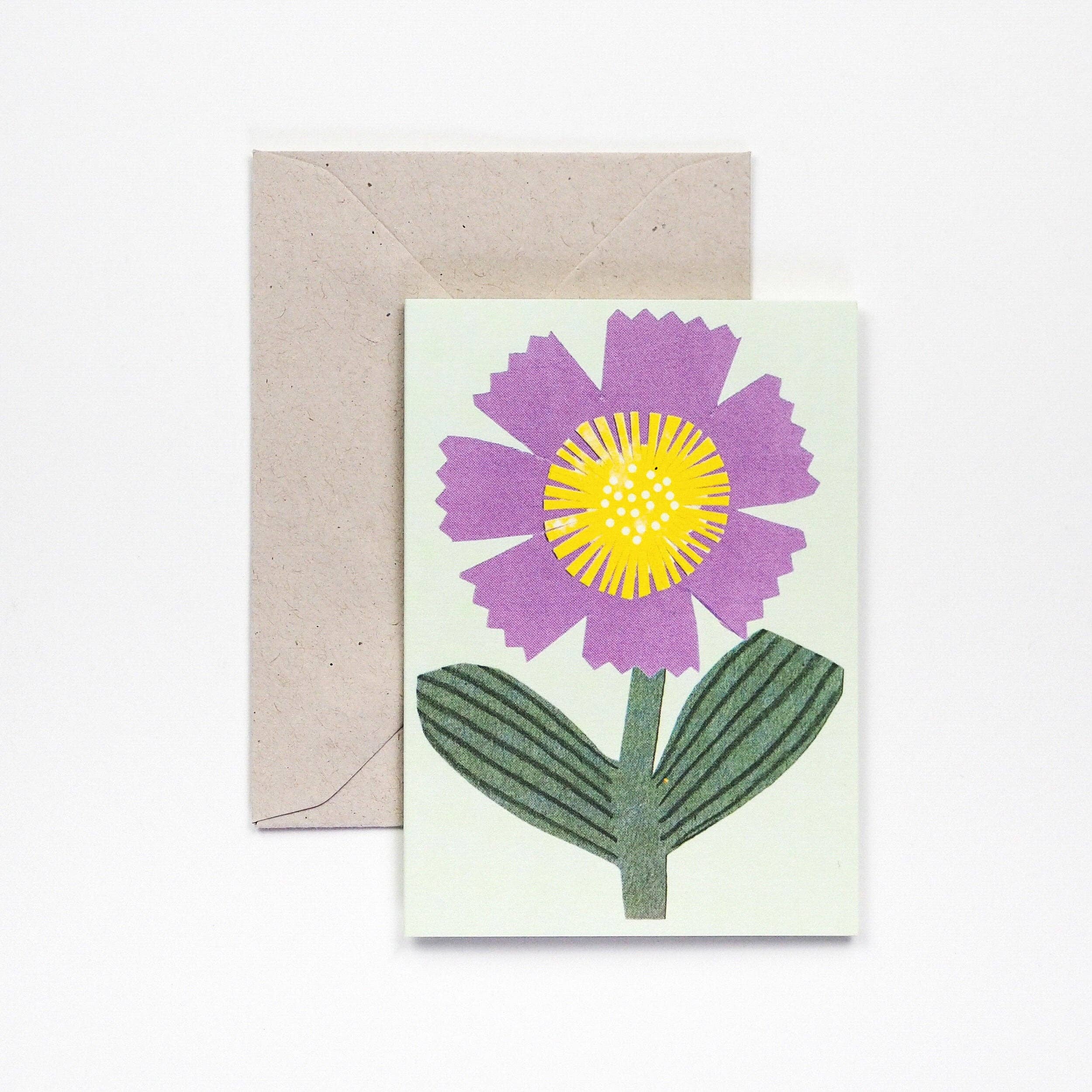 Little Purple Flower