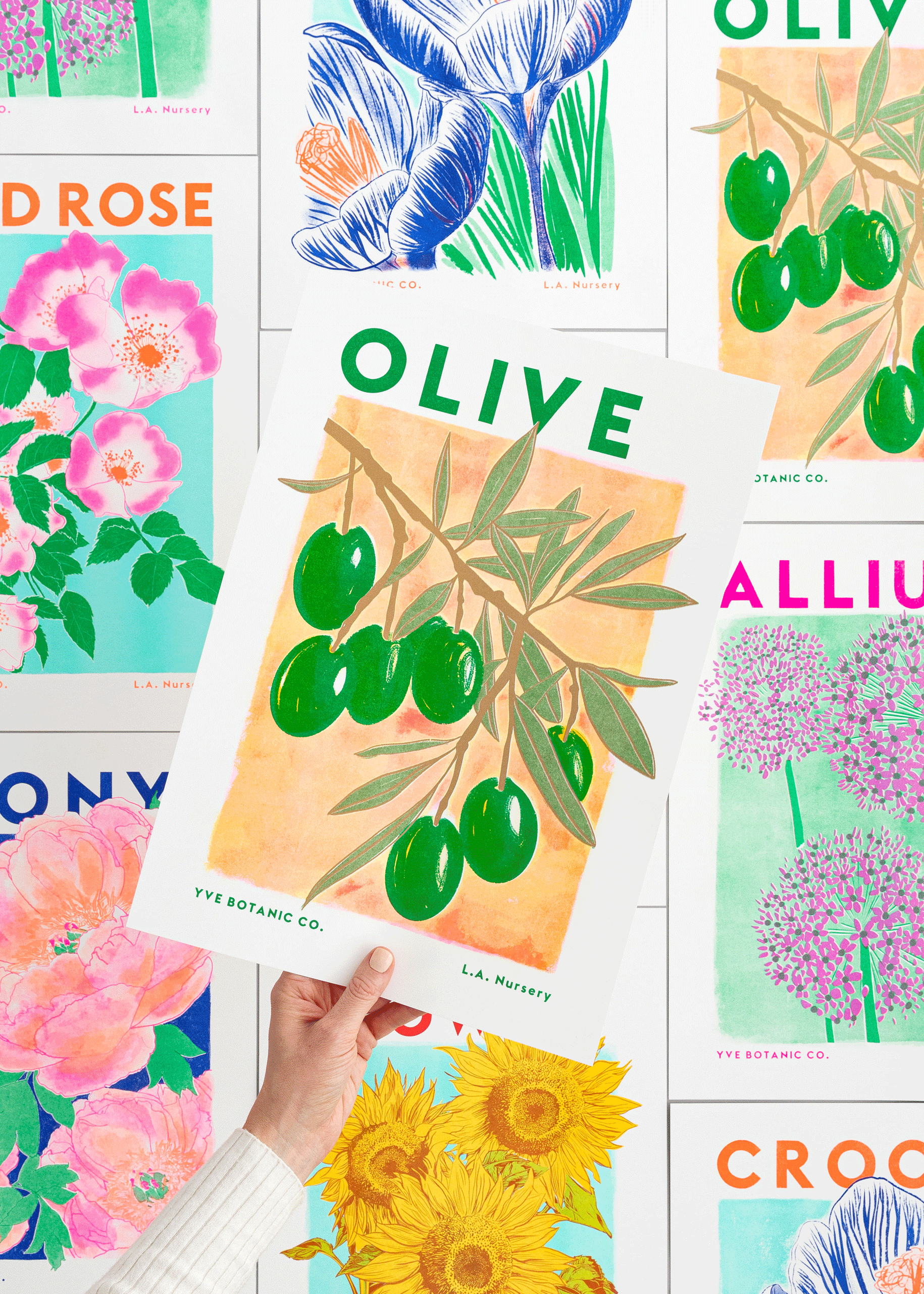 Olive Botanical Risograph Print: A3 29.7 x 42 cm
