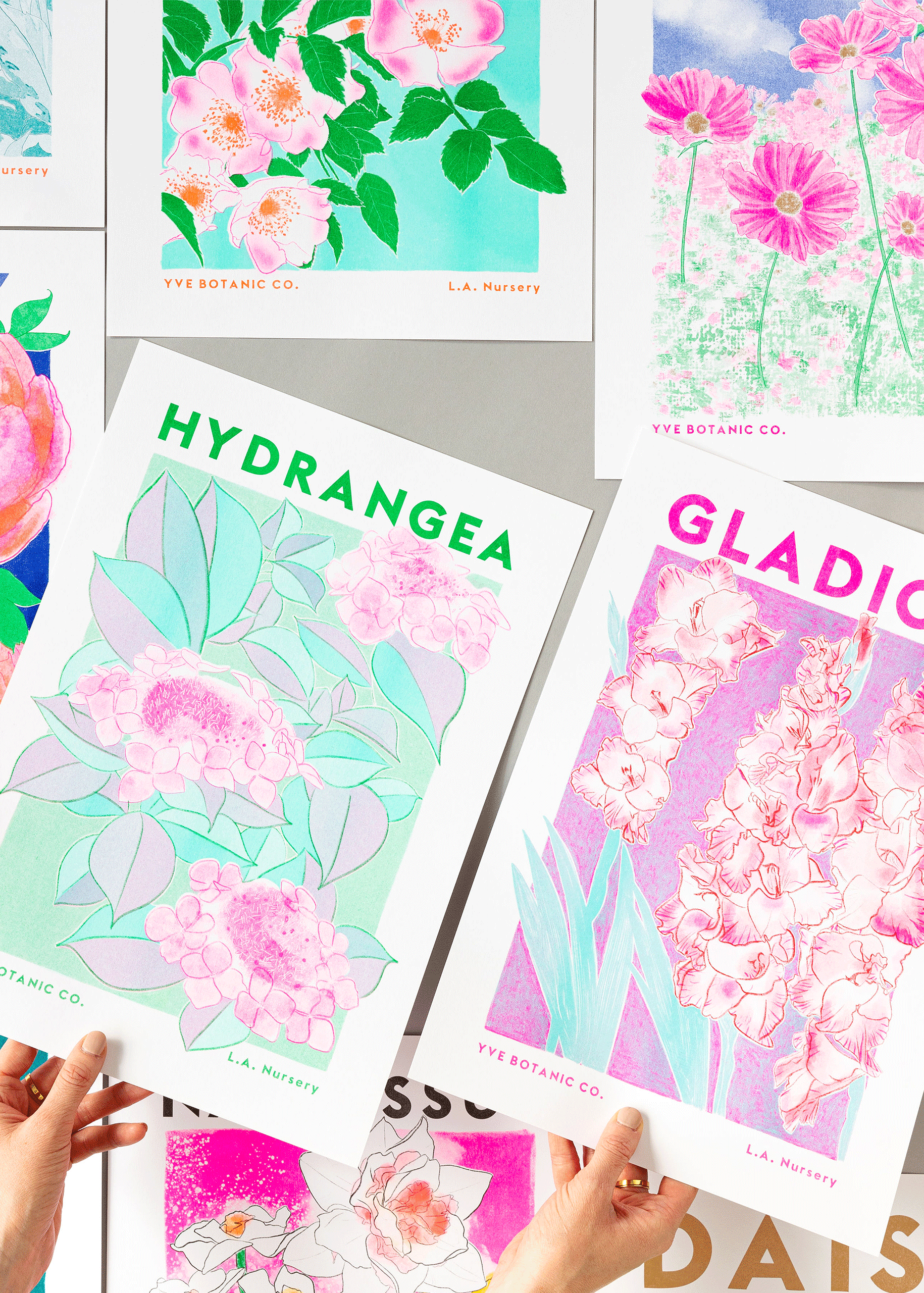Hydrangea Flower Risograph Print: A3 29.7 x 42 cm