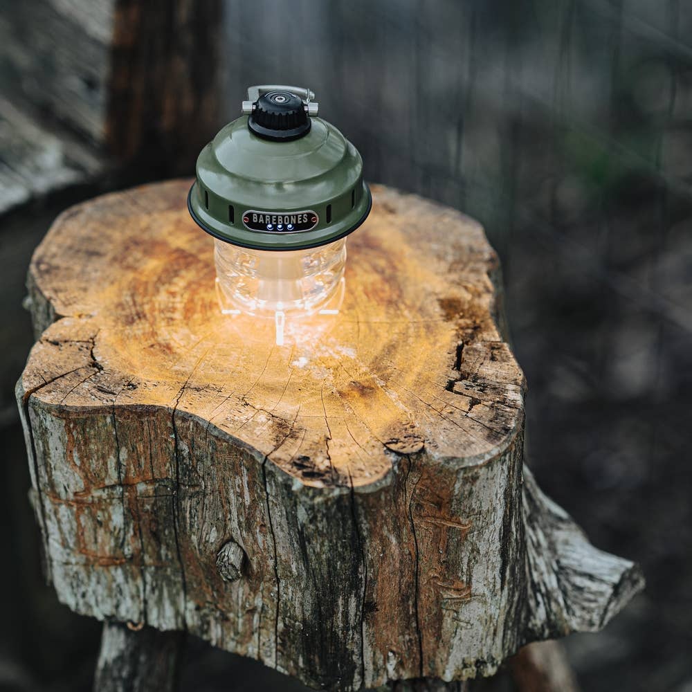 Beacon Hanging Lantern Olive